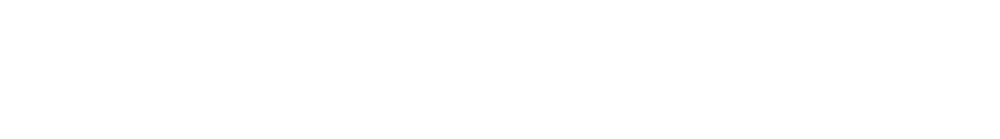 Macro Architecture & Consulting Services